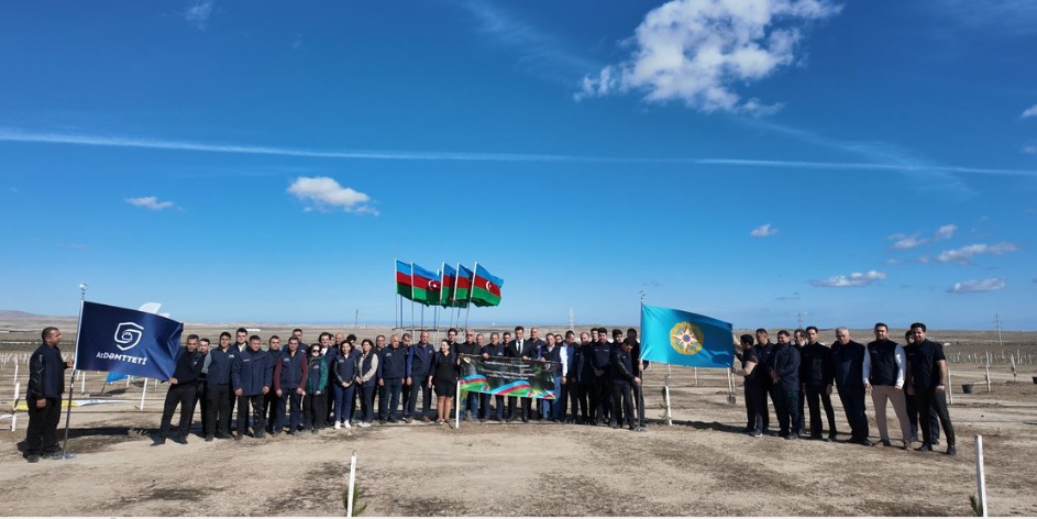 On October 31, a tree planting event dedicated to Victory Day took place.